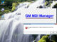 Gm Manager Initialzation Error