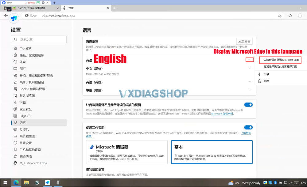 Change VXDIAG 2TB HDD Web Browser Homepage 3