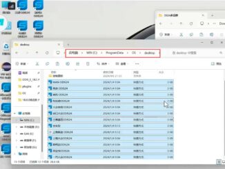 install vxdiag odis v24 8